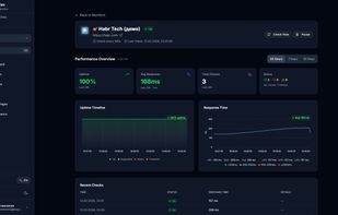 Public status page example – automatically generated, customizable with your brand. Shows uptime history, incidents and current status. No ads, no PingZen branding.