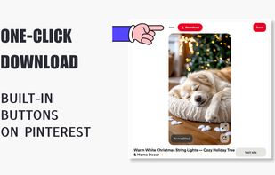 Pinterest Video Downloader Extension