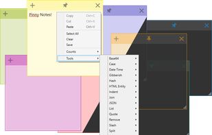 Pinny Notes screenshot 1