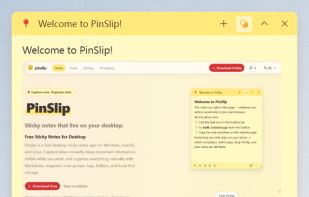 PinSlip screenshot 2