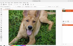 Pinta screenshot 1