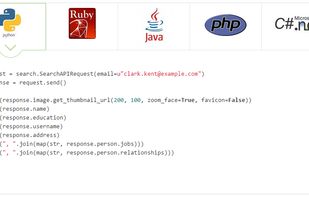 Pipl API screenshot 1