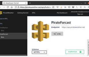Pirate Weather screenshot 1