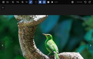 Pitop Viewer screenshot 1