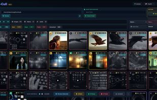 An optimized grid view for rapid scanning and sorting of massive asset libraries.