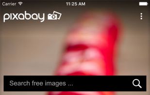 Pixabay screenshot 1