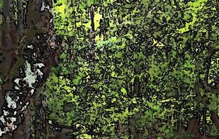 Pixel Camera screenshot 2