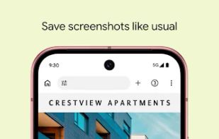 Pixel Screenshots screenshot 1