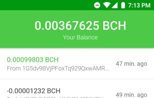 Pixel Wallet screenshot 1