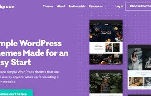 Pixelgrade screenshot 1
