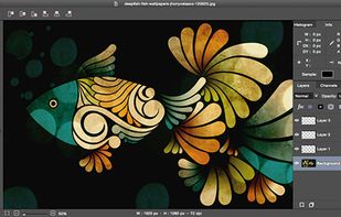 PixelStyle Photo Editor for Mac