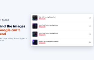 Every product photo missing alt text, flagged in one list.