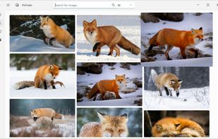 Similar photo search