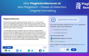 Plagiarism Remover screenshot 1