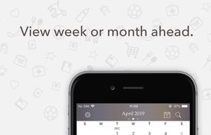 Planner Pro screenshot 1