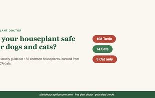 Plant Doctor screenshot 1