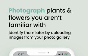 Plant ID Match screenshot 2