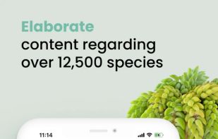 Plant ID Match screenshot 3
