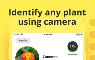 Plant Identification screenshot 1