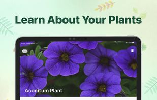 Plant identifier - Find Insect screenshot 3