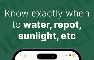 Plant Identifier and Care Help screenshot 3