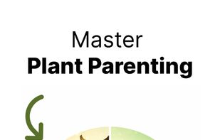 Plant Identifier and Care Help screenshot 2