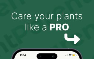 Plant Identifier and Care Help screenshot 1