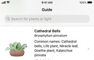 Plant Light Meter screenshot 3