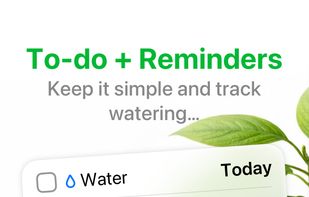 Tasks