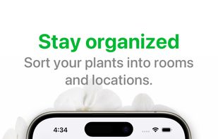 Organizer
