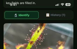 PlantSense Pro screenshot 1