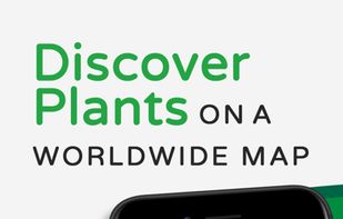 PlantSnap screenshot 3