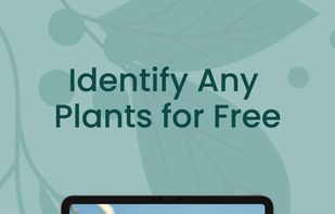 PlantTalk screenshot 1