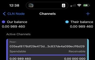 Plasma - Core Lightning Wallet screenshot 3