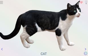 Play&learn screenshot 1