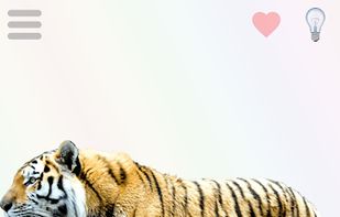 High resolution images, with name pronunciation and high resolution animal's call