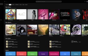 Playary screenshot 1