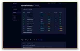 Live keyword rankings with position distribution and keyword gap detection