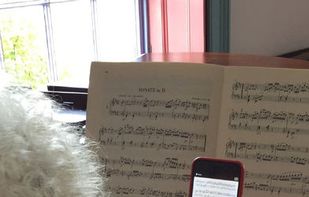 PlayScore screenshot 1