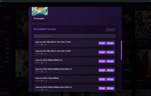 PlayTorrio screenshot 2