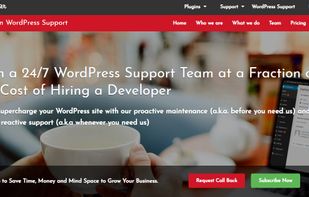 Plugmatter WordPress Support Service screenshot 1