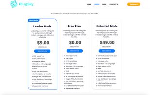 PlugSky AI Content Copywriter screenshot 1
