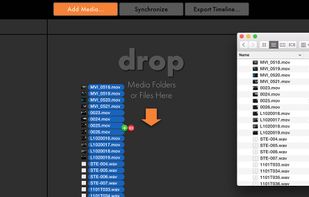 PluralEyes screenshot 2