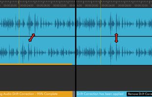 PluralEyes screenshot 3
