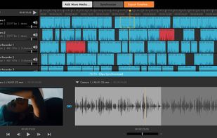 PluralEyes screenshot 1