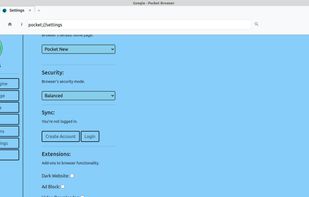 Pocket Browser screenshot 2