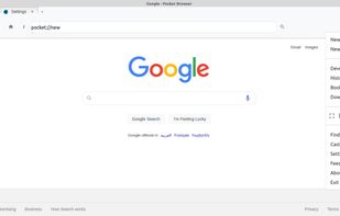 Pocket Browser screenshot 3