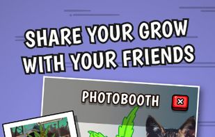 Pocket Buddy screenshot 1