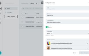 Single record update form