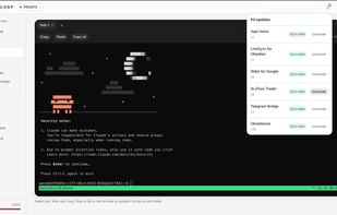 In Browser Terminal Environment and Plugin Manager